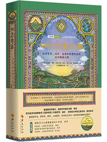 Four Fold Path to Healing book cover Chinese translation
